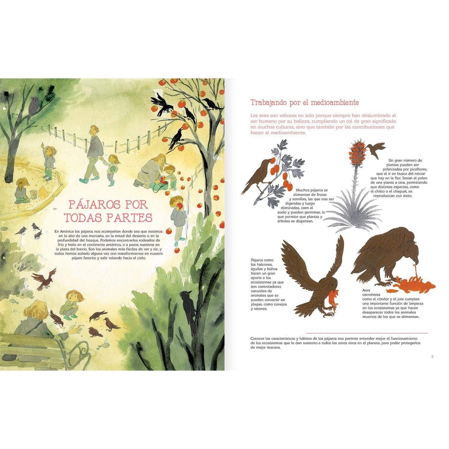 Vuelo de pájaros americanos