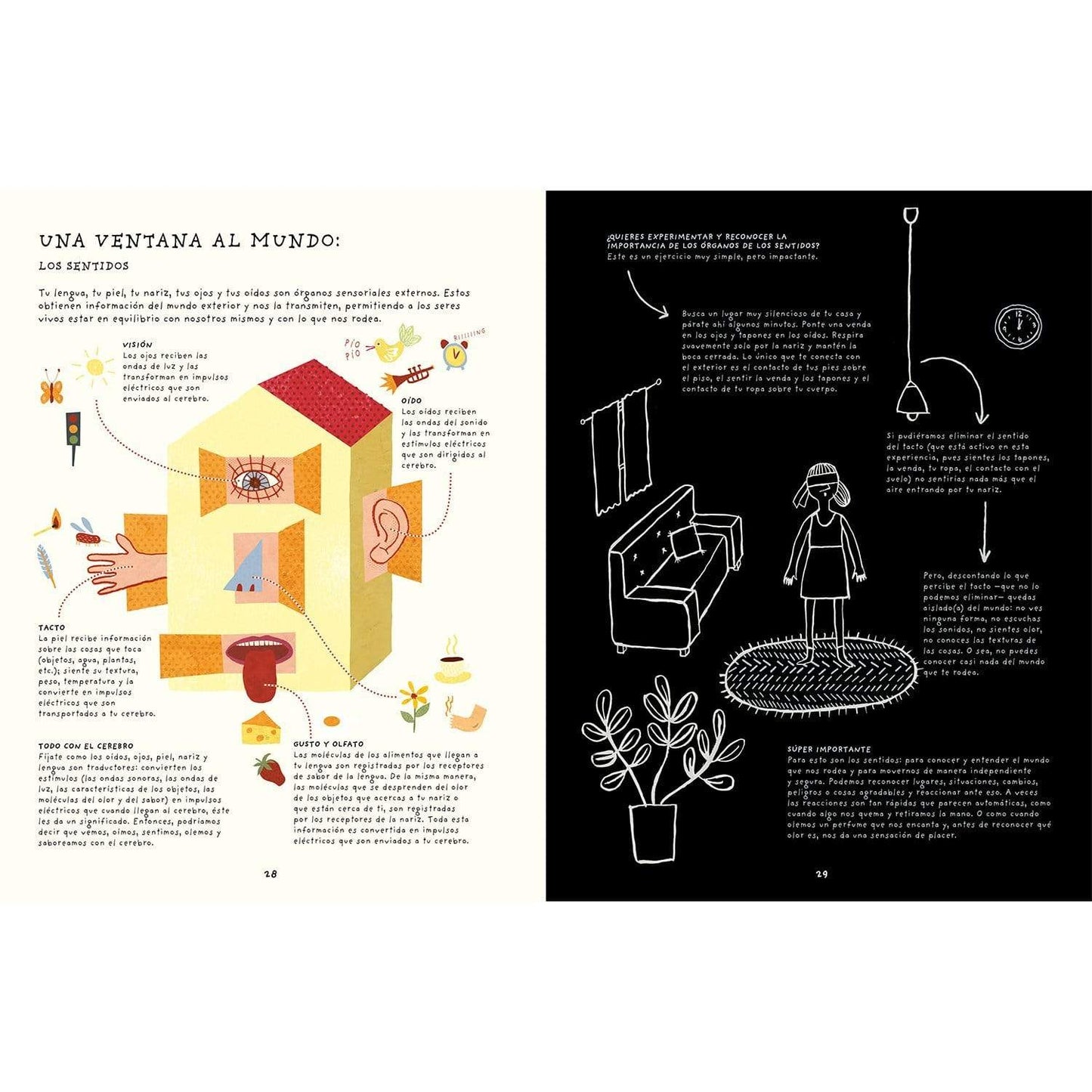 Tu cerebro es genial