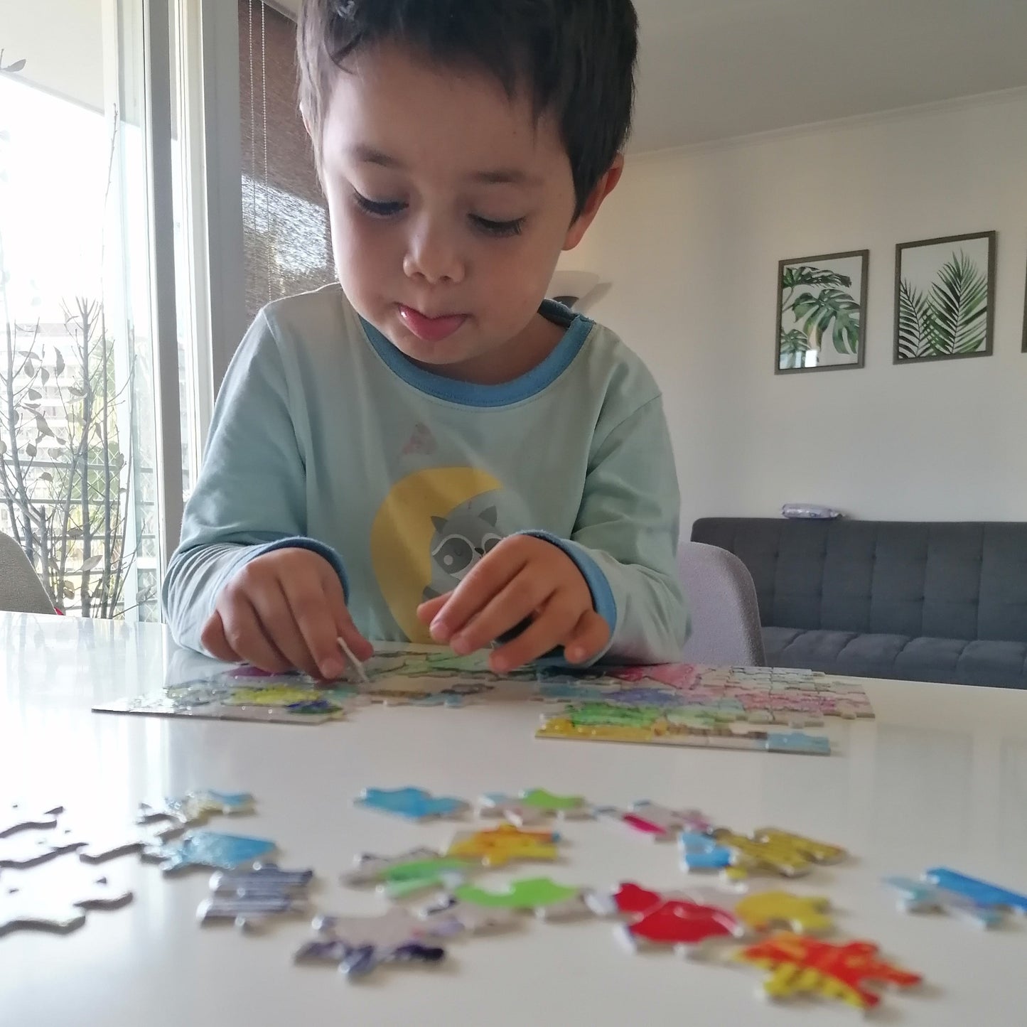 Puzzle Rompecabezas Emociones basado en El Monstruo de Colores
