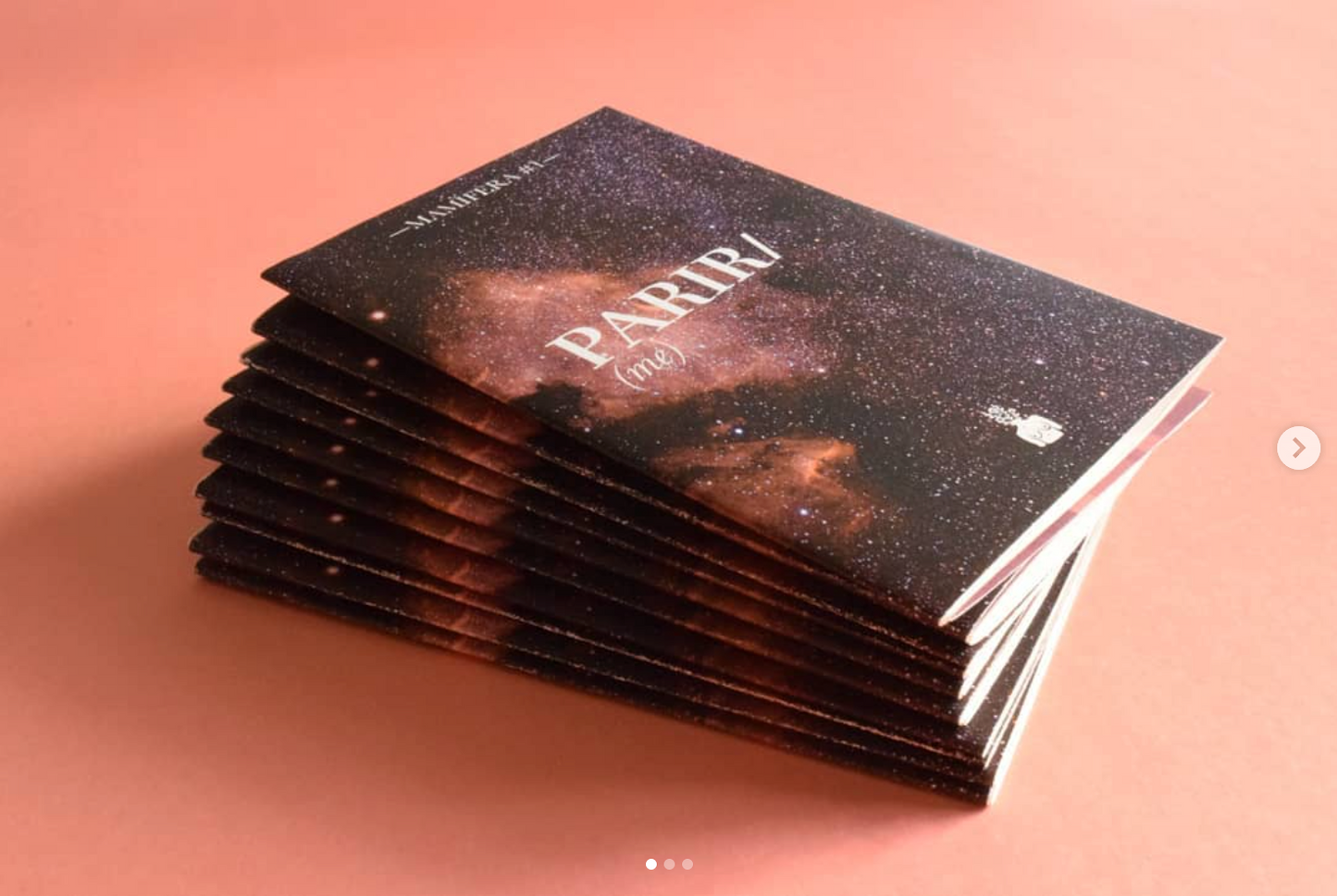 Mamífera Fanzine #1 - Parir(me)