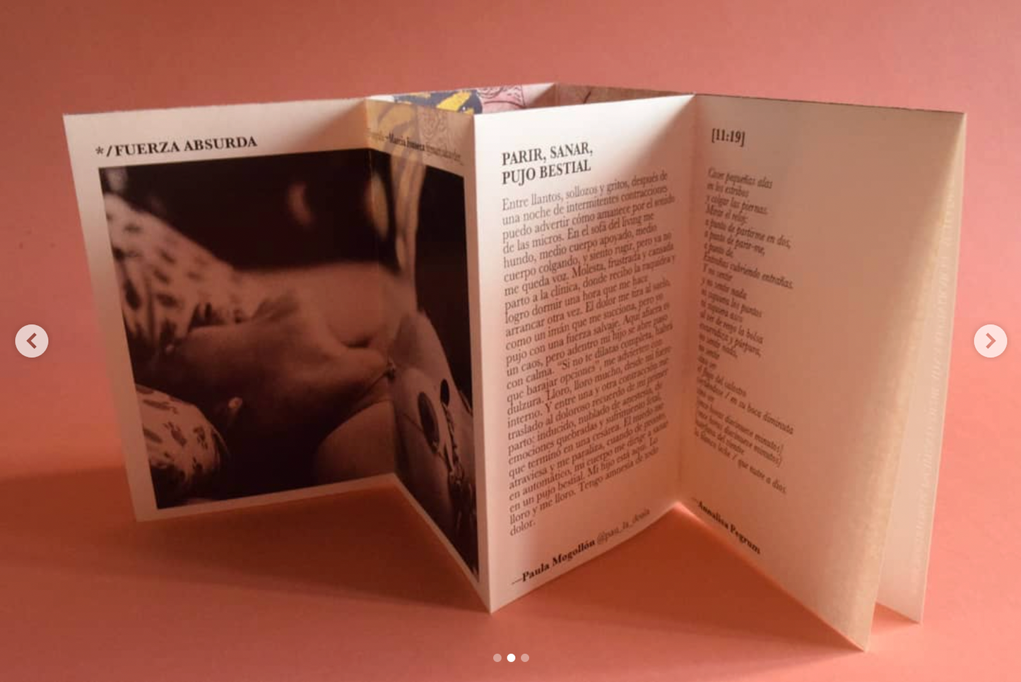 Mamífera Fanzine #1 - Parir(me)