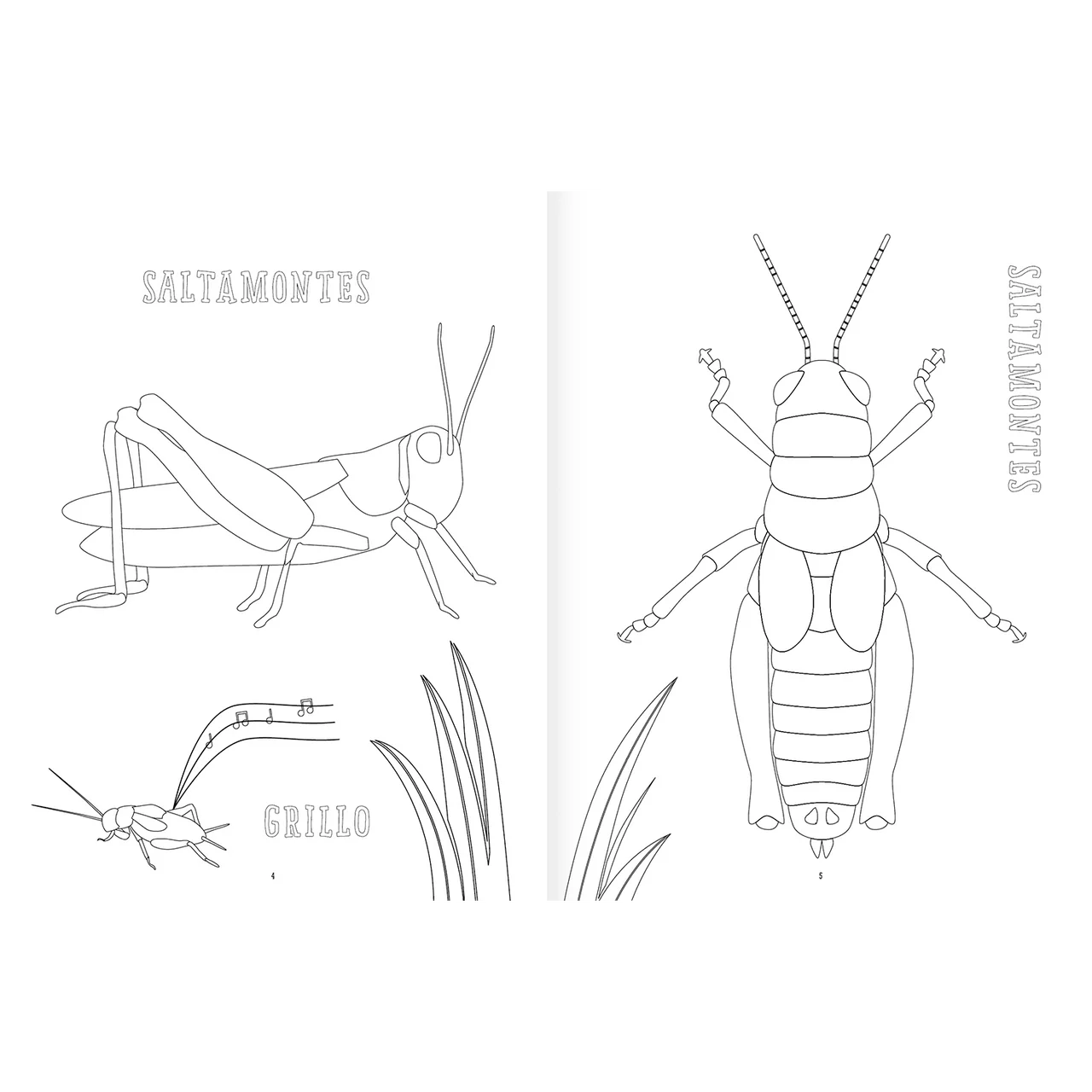 Insectopinta