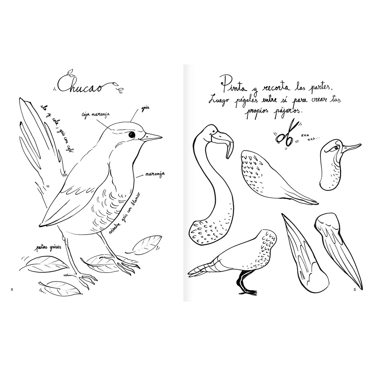 Pintapájaros. Libro de actividades y para colorear