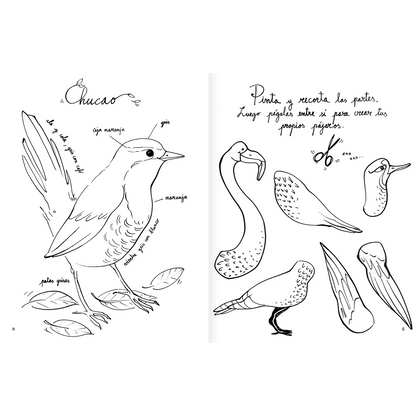 Pintapájaros. Libro de actividades y para colorear